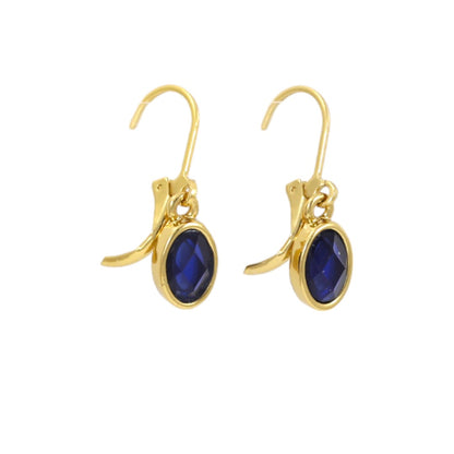 Dark Blue Stone Dangle Earrings